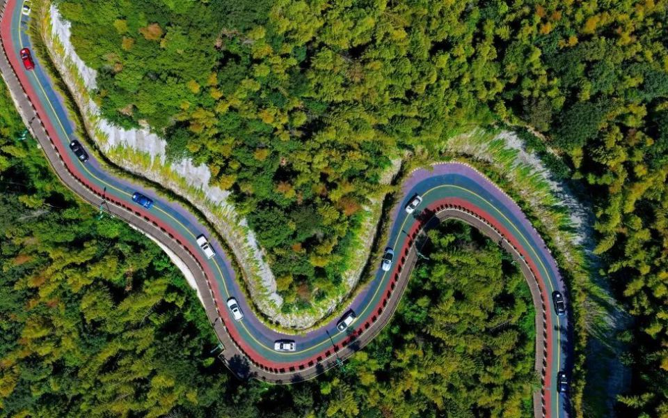 edRI, 在桃江万亩, 的纳什维尔