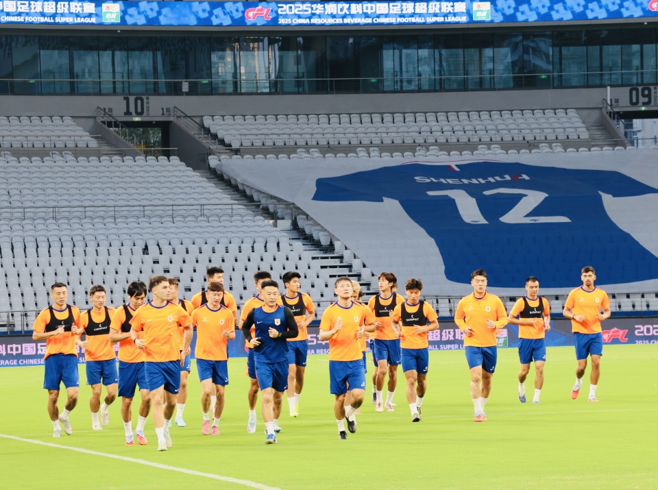 何限制瓦科, 从训练情况 何限制瓦科, 从训练情况